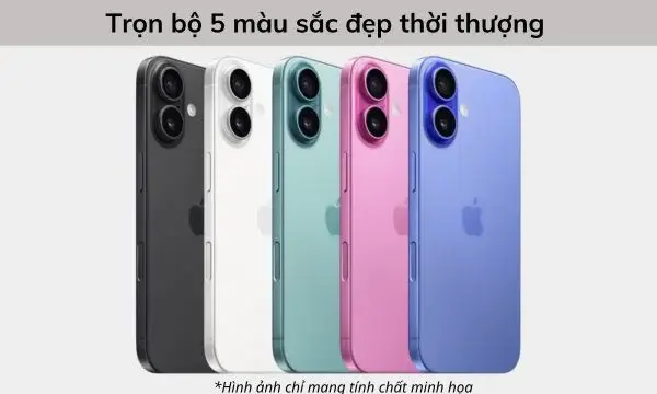 Đa Dạng Tùy Chọn Màu Sắc