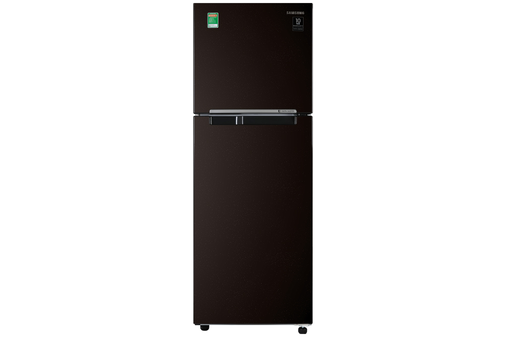 Tủ lạnh Samsung Inverter 236 lít RT22M4032BY_SV