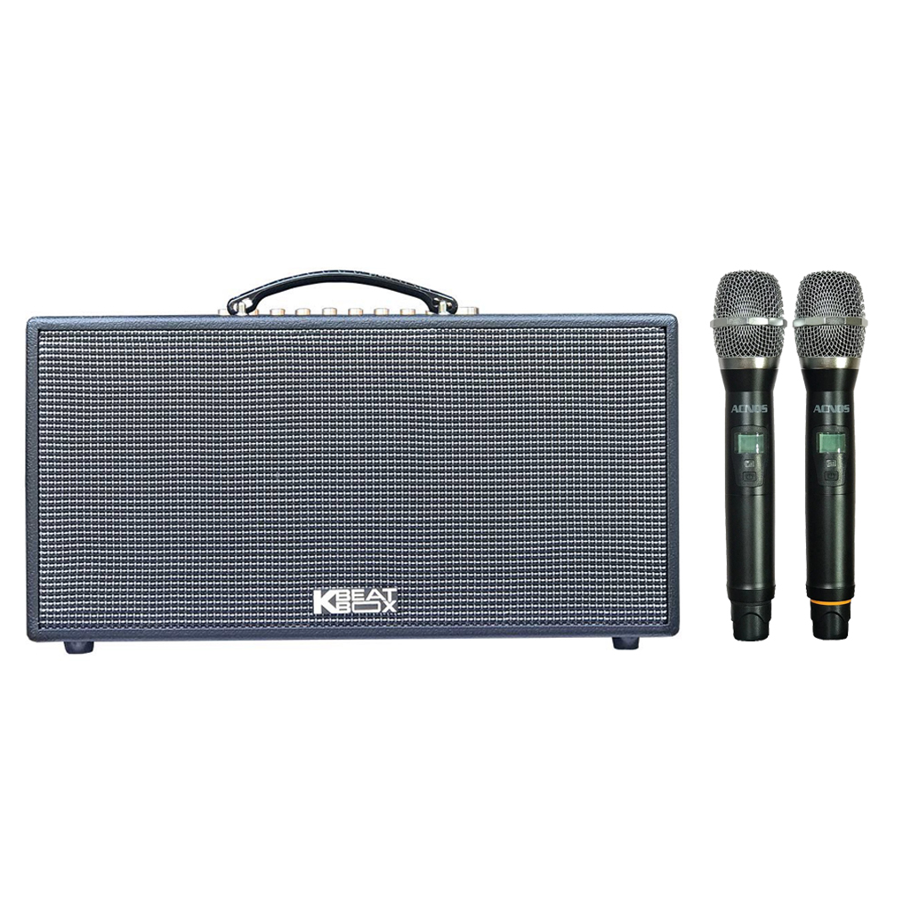 Loa Karaoke Acnos CS447