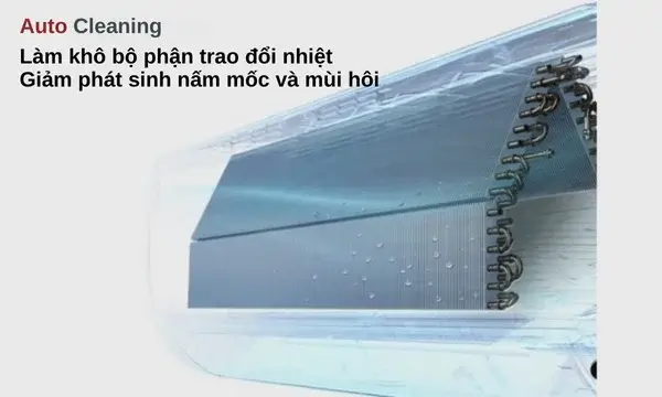 Tự động làm sạch (Auto Clean): Ngăn nấm mốc, khử mùi