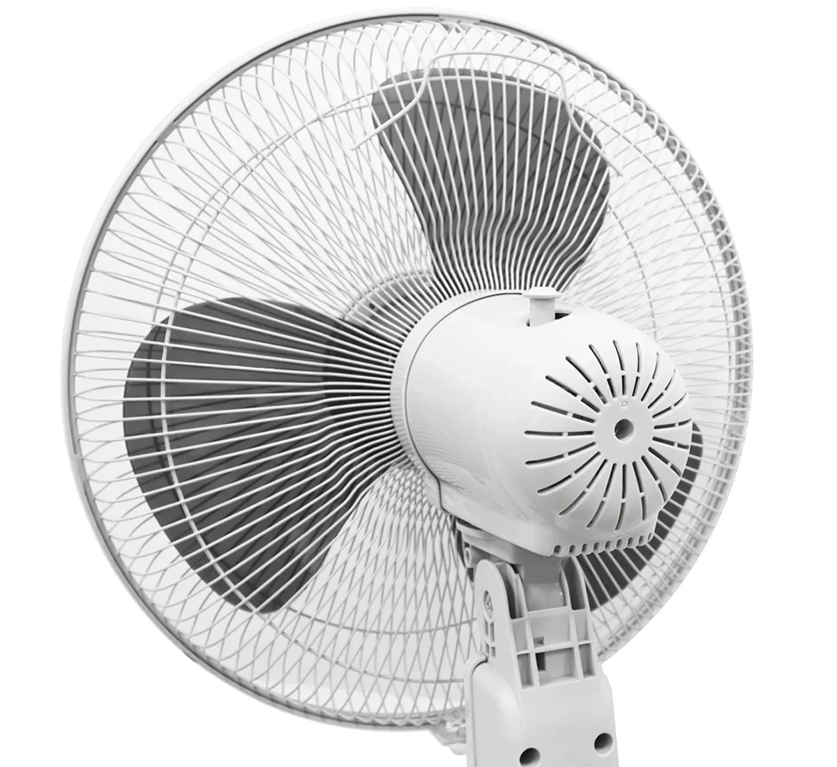 Động Cơ Bạc Thau Bền Bỉ