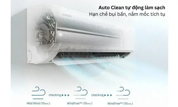 Auto Clean: Tự động loại bỏ nấm mốc
