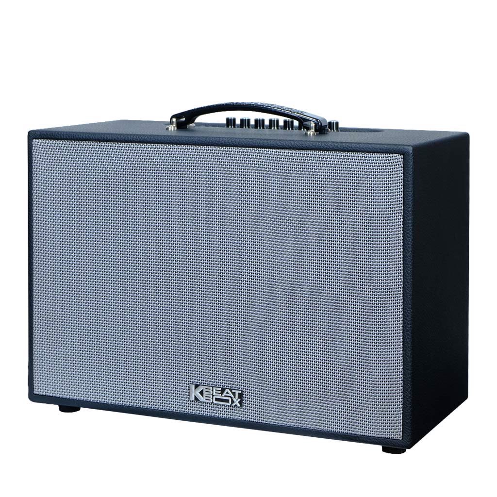 Loa Karaoke Acnos CS251PU