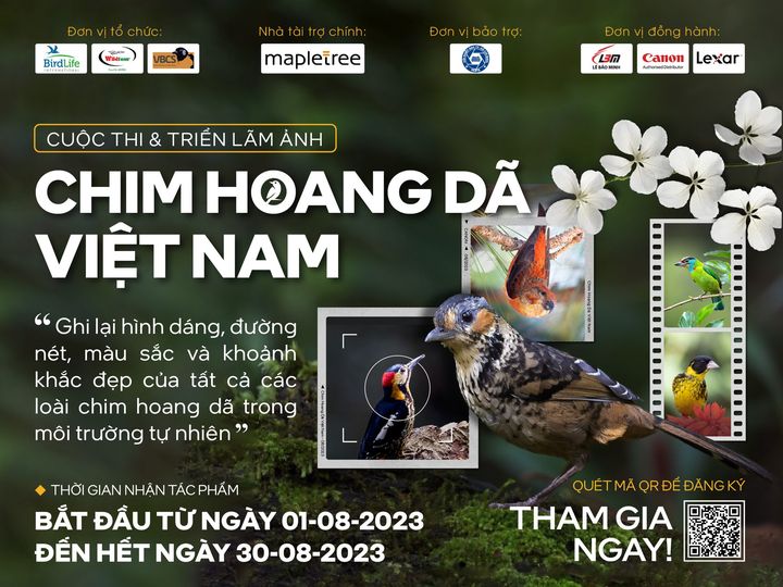 [NEWS] [CUỘC THI ẢNH] CHIM HOANG DÃ VIỆT NAM